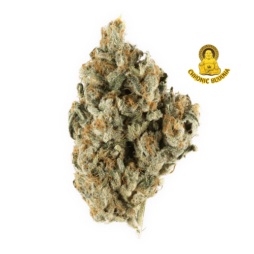 East Coast Sour Diesel X Sour Diesel Brooklyn Curbside